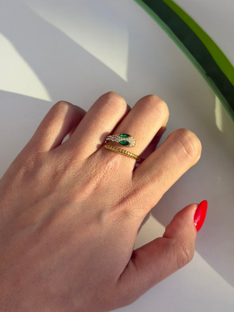 Anello snake