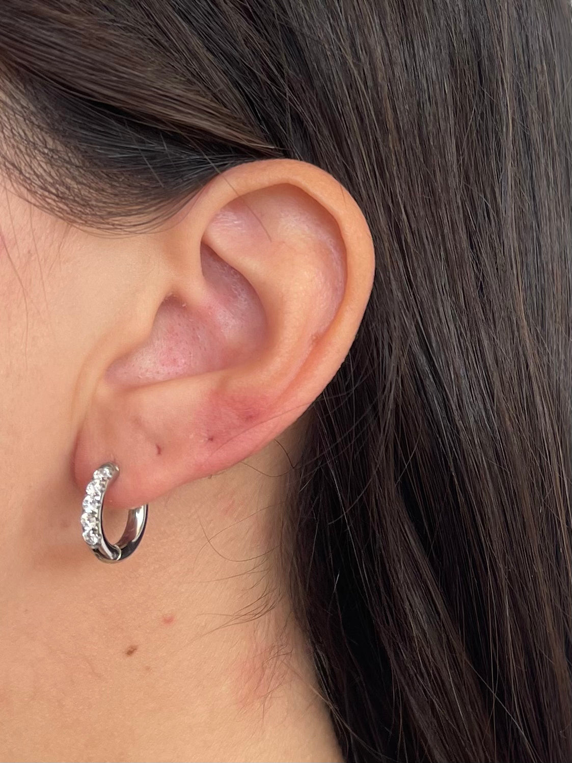 Orecchini cerchi Victor silver