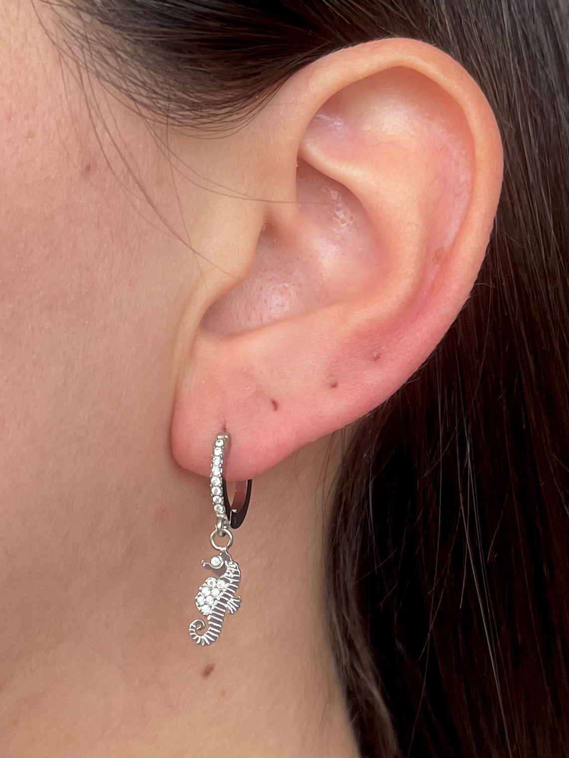 Ocean Hoops Pendenti Silver